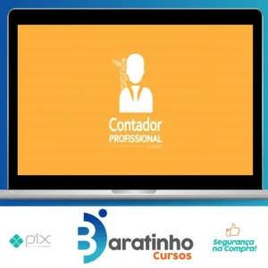 Contador Profissional: Vivendo de Contabilidade - Angélica Flor