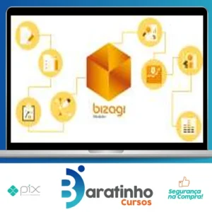 Modelagem de Processos com Bizagi - Pedro Junqueira