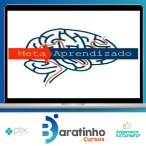 Meta Aprendizado Acelerado - Marcelo Maia