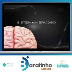 Fisiologia do Sistema Nervoso - Fisiologia Didática