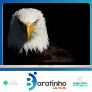 Mentoria Águias Do Tiktok - Samuka