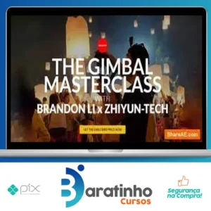 The Gimbal Masterclass - Brandon Li [INGLÊS]