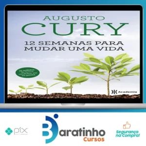 12 Semanas para Mudar uma Vida - Augusto Cury