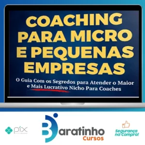 Coaching Pequenas Empresas - Liana Gomes