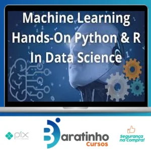 Machine Learning A-Z™ Hands-On Python & R In Data Science - Apex Education [Inglês]