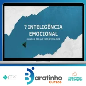 Inteligência Emocional - Escola Conquer