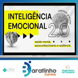 Inteligência Emocional 2.0 - Escola Conquer