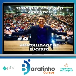 Tudo Que Você Não Aprendeu: Mentalidade de Sucesso - Luis Felipe