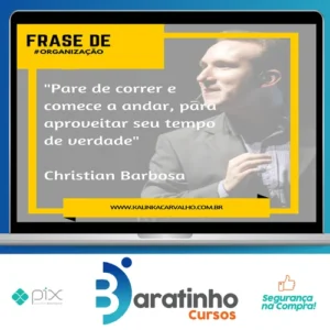 Viva Com Organização - Christian Barbosa