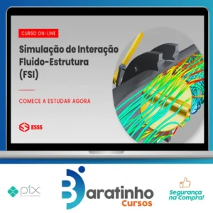 Curso de Simulação de Interação Fluído-Estrutura - Iesss