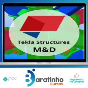 Curso Tekla Structures M&D - Fernando de Cesaro
