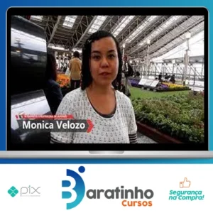 Japonês Básico: Escreva em Japonês - Monica Velozo