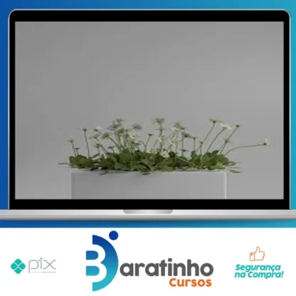 Shading no Blender para Iniciantes - Rafael Vallaperde