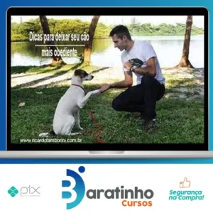 Desafio Cão Obediente - Marcelo Bessa