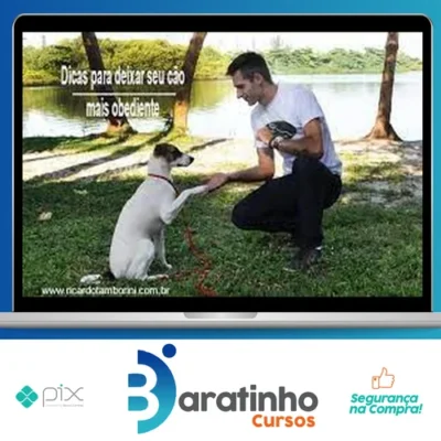 Desafio Cão Obediente - Marcelo Bessa