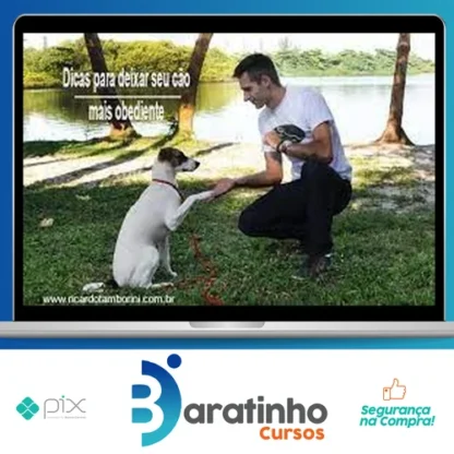 Desafio Cão Obediente - Marcelo Bessa