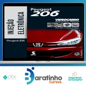 Injeção Eletrônica: Peugeot 206 - VideoCarro