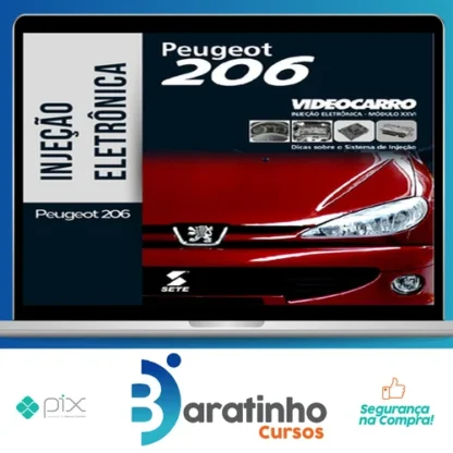 Injeção Eletrônica: Peugeot 206 - VideoCarro