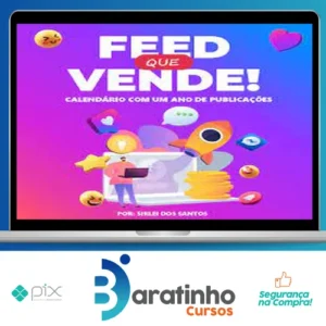 Feed que Vende - Sirlei dos Santos