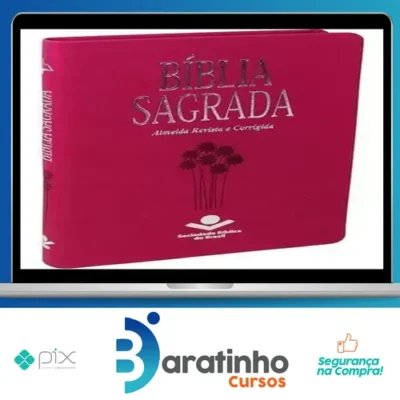 Bíblia Sagrada - Almeida Revista e Corrigida