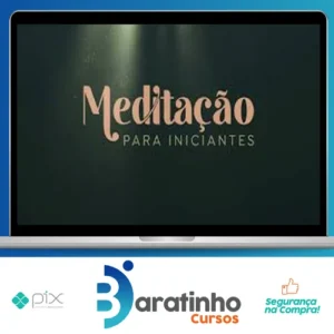 Meditação Para Iniciantes - Evelyn Penna