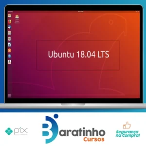 Linux Ubuntu 18.04 do Básico ao Avançado - Ednaldo Mendes de Araujo