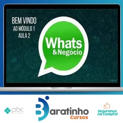 Como Vender Mais Usando o Whatsapp - Luiz Felipe Castro