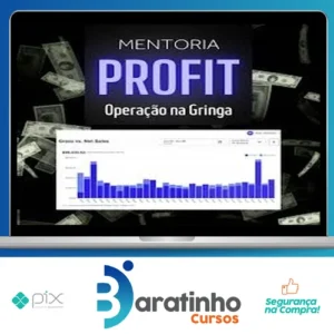 Mentoria Meta Profit - Bruno Henrique